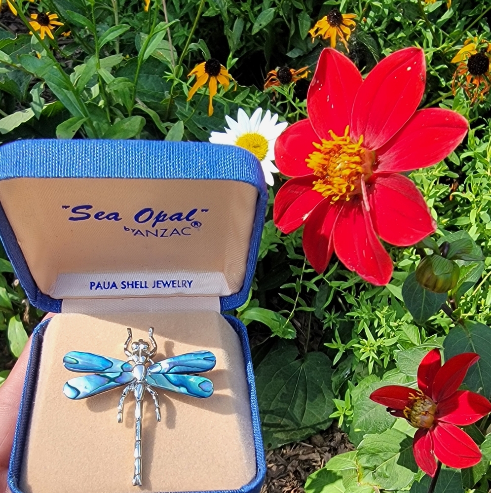 PAULA SHELL JEWELRY Sea Opal Dragonfly Brooch. - Picture 3 of 4